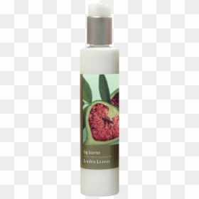 Perfume, HD Png Download - fig leaf png
