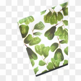 Trachemys, HD Png Download - fig leaf png
