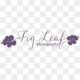 Calligraphy, HD Png Download - fig leaf png