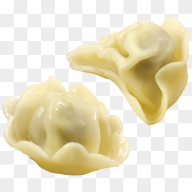 Dumplings Png - Wonton, Transparent Png - dumpling png