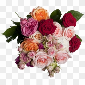 Aislado, Rosas, Ramo, Multi Color, Romántico - ช่อ กุหลาบ หลาก สี, HD Png Download - ramo de rosas png