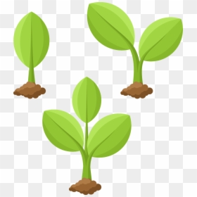 Transparent Plant Growing Png - Plant Drawing Png, Png Download - plant cartoon png