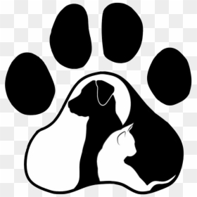 Transparent Gato Clipart - Silhouette Cat Paw Svg, HD Png Download - gatos png