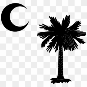South Carolina Palmetto Png, Transparent Png - moon silhouette png