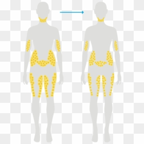 Back - Body Fat Dissolving Injections, HD Png Download - person standing png back