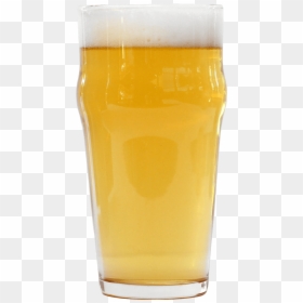 Oh My Gatos Golden Ale - Pint Glass, HD Png Download - gatos png