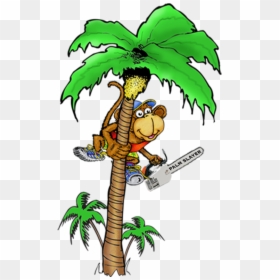 Coconut Tree With Monkey Cartoon Png, Transparent Png - plant cartoon png