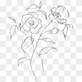 Linger-illustrations, HD Png Download - white scribble png