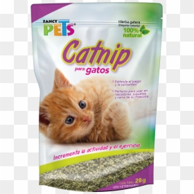 Hierba Para Gatos Catnip, HD Png Download - gatos png