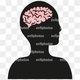 Brain Drawing Vector And Stock Photo - Drawing, HD Png Download - brain cartoon png