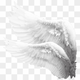 Angel Wings Png Side, Transparent Png - alas de angel png
