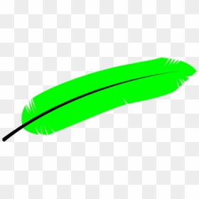 Feather, Bird, Wings, Green, Animal, Nature, Fauna - Black Feather, HD Png Download - feather clipart png