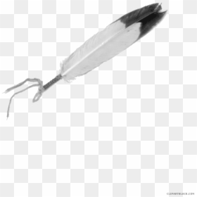 Clip Art, HD Png Download - feather clipart png