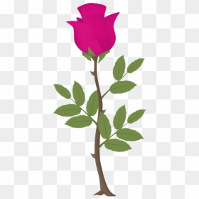 Rosa, Flor, Rosas, Vector Rosa, Flores Cor De Rosa - Rosas Png, Transparent Png - flores vector png