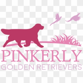 Transparent Golden Retriever Png - Guard Dog, Png Download - golden retriever puppy png