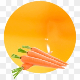 Just Dont Carrot All, HD Png Download - juices png