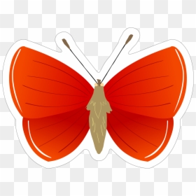 Butterfly, HD Png Download - red butterfly png