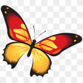 Butterfly, Colorful, Red, Orange, Insect, Decoration - Kupu Kupu Warna Merah, HD Png Download - red butterfly png