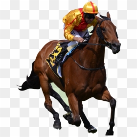 Race Horse Png - Horse Racing Png, Transparent Png - race horse png