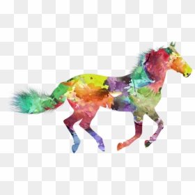 Transparent Race Horse Png - Race Horse Water Color, Png Download - race horse png