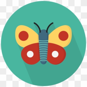 Carbon Important To Life, HD Png Download - red butterfly png