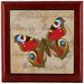 And Data-zoom="//cdn, HD Png Download - red butterfly png
