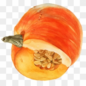 Transparent Watercolor Pumpkin Png - Pumpkin, Png Download - pumpkin png transparent