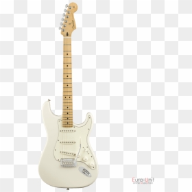 Fender Vintera 50s Stratocaster Mod, HD Png Download - fender stratocaster png