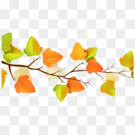 Transparent Fall Flowers Clipart - Fall Leaves Transparent Background, HD Png Download - fall flowers png