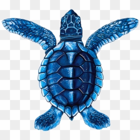 Porc St20a Bl - Turtle Mosaic, HD Png Download - turtle cartoon png