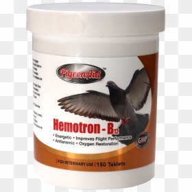 Transparent Pigeons Png - B12 For Pigeons, Png Download - pigeons png