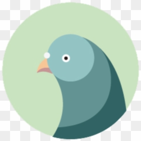 Cartoon, HD Png Download - pigeons png