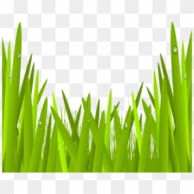 Green Grass Png Clip Art Image Gallery - Transparent Green Grass Clipart, Png Download - grass png clipart