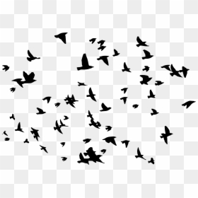 Flying Bird Silhouette Png, Transparent Png - flying bird silhouette png