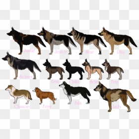 Transparent Angry Dog Png - Very Angry German Shepherd, Png Download - angry dog png
