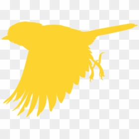 Illustration, HD Png Download - flying bird silhouette png