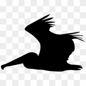 Pelican Flying Side Silhouette - Flying Pelican Silhouette Png, Transparent Png - flying bird silhouette png