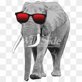 Elephant With Sun Glasses - Elephant With Sunglasses, HD Png Download - sun with sunglasses png