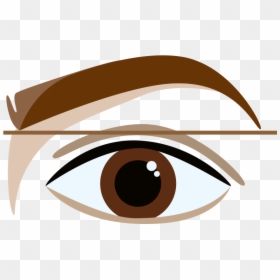 Perfectly Shaped Eyebrows - Cartoon Eyebrows, HD Png Download - bushy eyebrows png