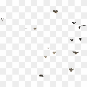 Butterflies Swarm - Transparent Butterfly Gif Png, Png Download - flying butterfly png