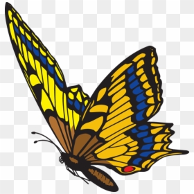 Flying Butterfly Clipart Png - Flying Butterfly Clipart, Transparent Png - flying butterfly png
