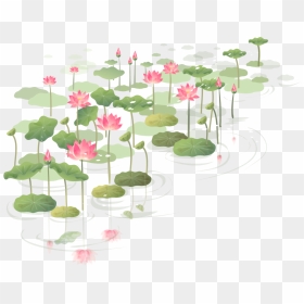 Transparent Lilypad Png - Watercolour Painting Lotus Pond, Png Download - hoa mai png