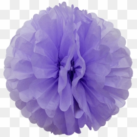 Lavender Paper Pom Poms-31 - Dahlia, HD Png Download - pom poms png