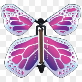 Butterfly, HD Png Download - flying butterfly png