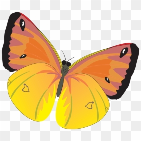 Butterfly Png Image - Бабочки Картинки Пнг, Transparent Png - flying butterfly png
