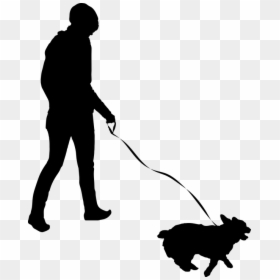 Animal, Canine, Dog, Female, Girl, Human, Leash, People - Walking Dog Silhouette, HD Png Download - dog leash png