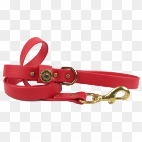 Water Dog Leash Red - Belt, HD Png Download - dog leash png