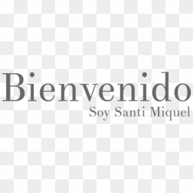 Calligraphy, HD Png Download - bienvenido png