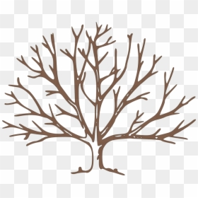 Bare Tree Clipart - Draw A Winter Tree, HD Png Download - leafless tree png