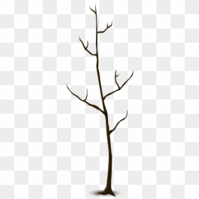 Twig Tree Svg, HD Png Download - leafless tree png